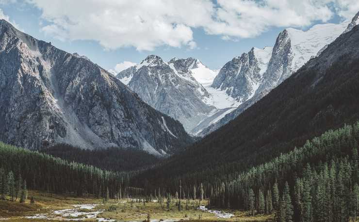 C罗2026世界杯夺冠：终极传奇